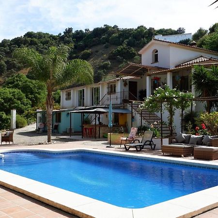 Vegan Guesthouse Finca Pereila Coín Екстериор снимка