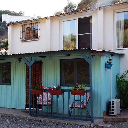 Vegan Guesthouse Finca Pereila Coín Екстериор снимка
