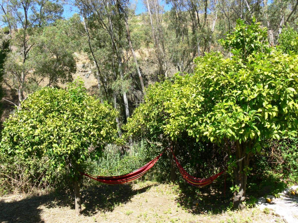 Vegan Guesthouse Finca Pereila Coín Екстериор снимка