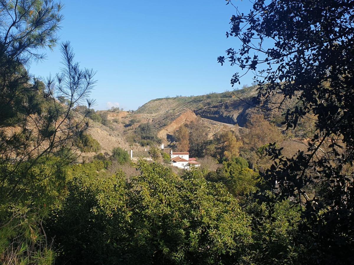 Vegan Guesthouse Finca Pereila Coín Екстериор снимка