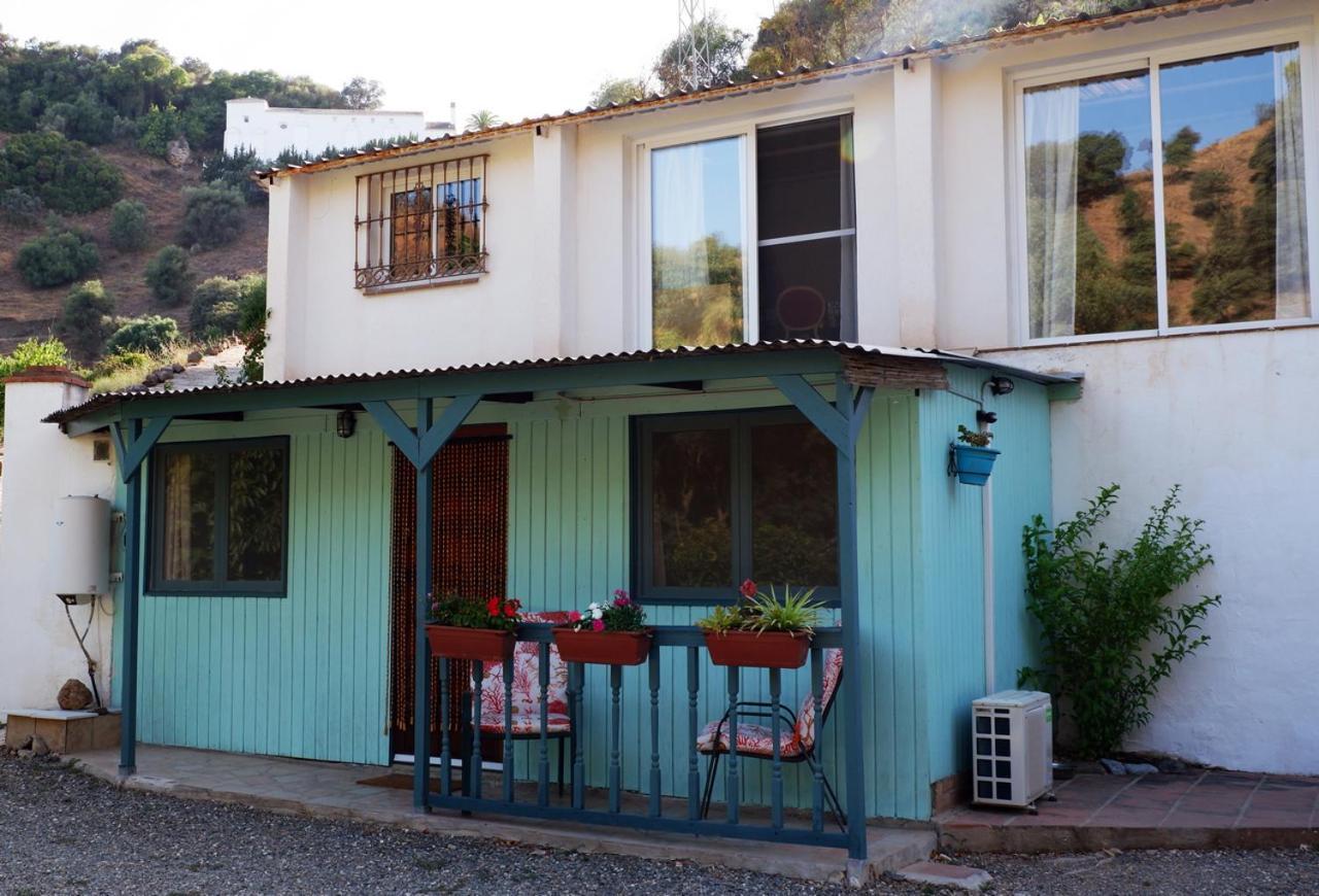 Vegan Guesthouse Finca Pereila Coín Екстериор снимка