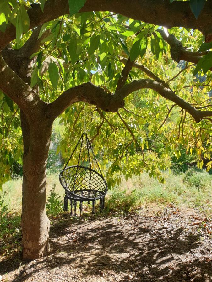 Vegan Guesthouse Finca Pereila Coín Екстериор снимка